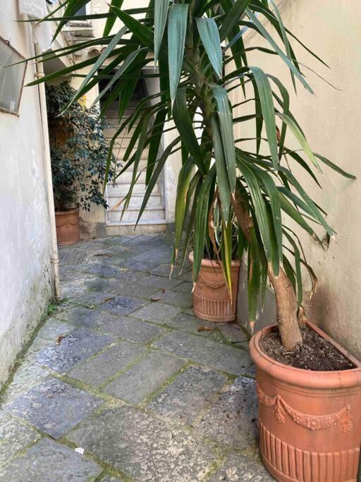 Seafront House Naples